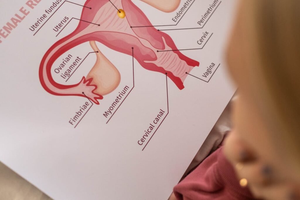 friable cervix in gynecological examination