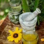 well health organic ayurveda lifestyle and remedies