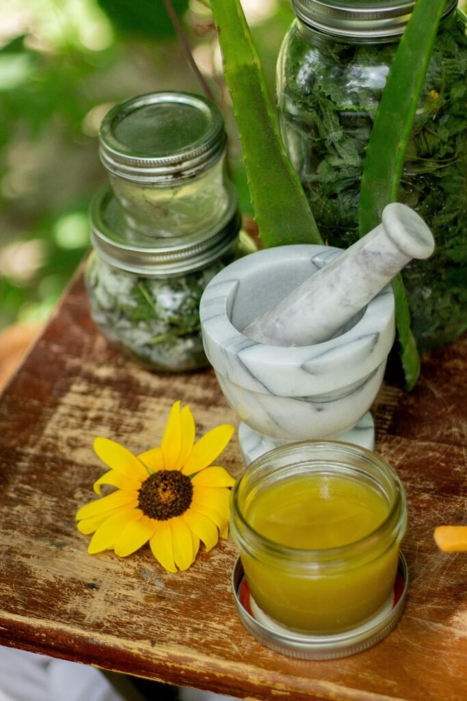 well health organic ayurveda lifestyle and remedies
