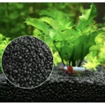Aquascaped aquarium with aquasoil substrate and healthy aquatic plants