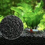 Aquascaped aquarium with aquasoil substrate and healthy aquatic plants