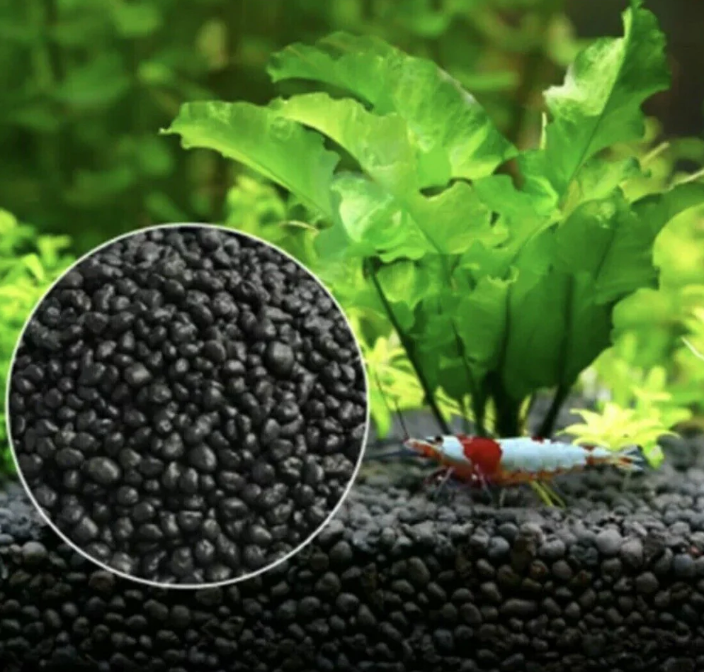 Aquascaped aquarium with aquasoil substrate and healthy aquatic plants