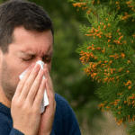 cedar fever symptoms during allergy season