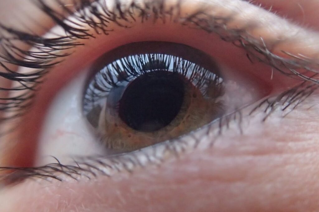 do eyeballs grow at different life stages