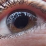 do eyeballs grow at different life stages